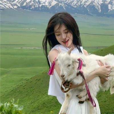 我的机器人同桌